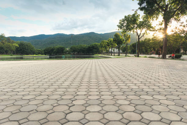Best Professional Driveway Pavers  in Crystal, MN